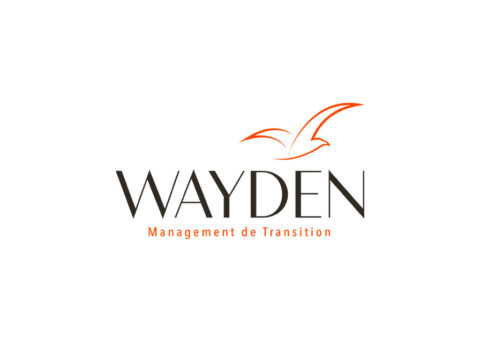 WAYDEN, création de contenus en Management de transition