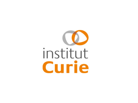 INSTITUT CURIE, création du rapport annuel